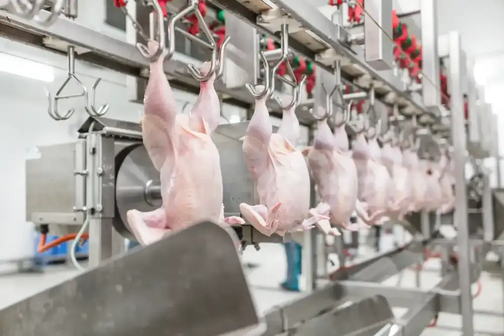 Brazilian frozen protein export facility - SIF approved processing plant